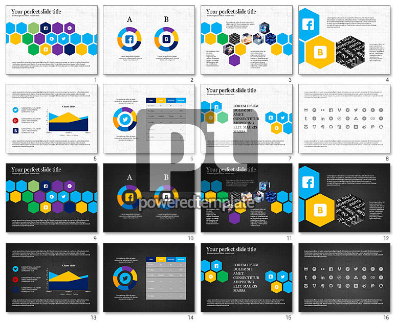 Social Networking Presentation Concept