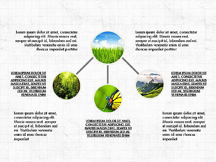 Org Bagan Koleksi Slide Dek, Slide 8, 03907, Bagan Organisasi — PoweredTemplate.com