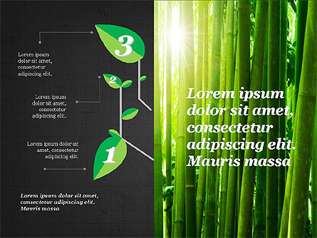 Growth a Plant Presentation Concept, Slide 13, 03925, Presentation Templates — PoweredTemplate.com