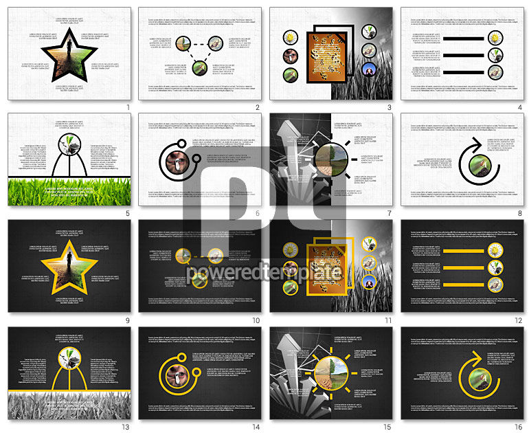 Shapes and Photos Presentation Deck