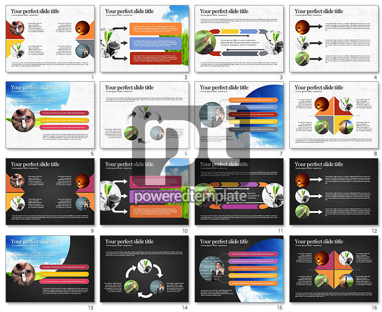 Startup Process Presentation Concept