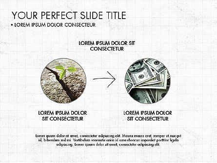 Concepto Simple de Presentación, Diapositiva 7, 04053, Organigramas — PoweredTemplate.com