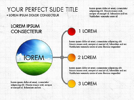 Concepto Simple de Presentación, Diapositiva 8, 04053, Organigramas — PoweredTemplate.com