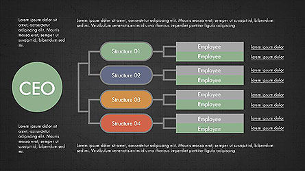 Organigramma Ceo, Slide 11, 04099, Grafici Organizzativi — PoweredTemplate.com