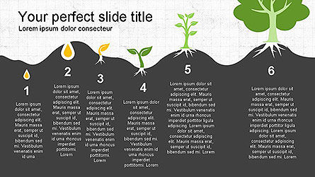 Creación de un árbol de plantilla de presentación de semillas, Diapositiva 14, 04131, Plantillas de presentación — PoweredTemplate.com