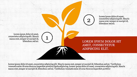 Schéma conceptuel de croissance, Diapositive 7, 04191, Modèles de présentations — PoweredTemplate.com
