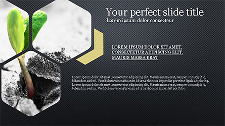 Brochure di presentazione di idee fresche, Slide 11, 04218, Modelli Presentazione — PoweredTemplate.com