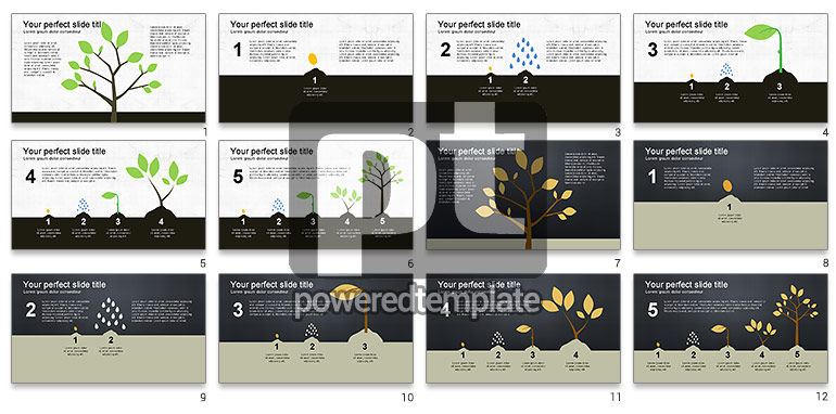 Tree groeien presentatie template