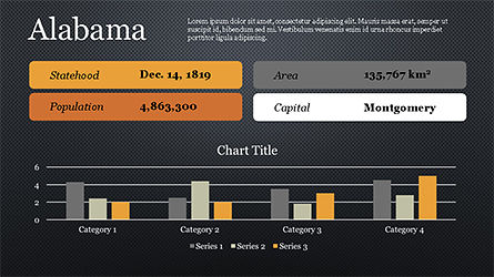 Template Presentasi Amerika Serikat, Slide 16, 04288, Infografis — PoweredTemplate.com