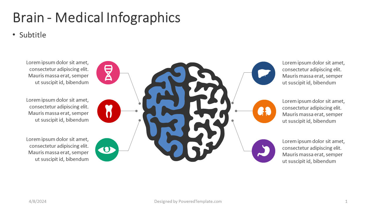 두뇌 - 의료 infographics, 무료 파워 포인트 템플릿, 04357, 인포메이션 그래픽 — PoweredTemplate.com