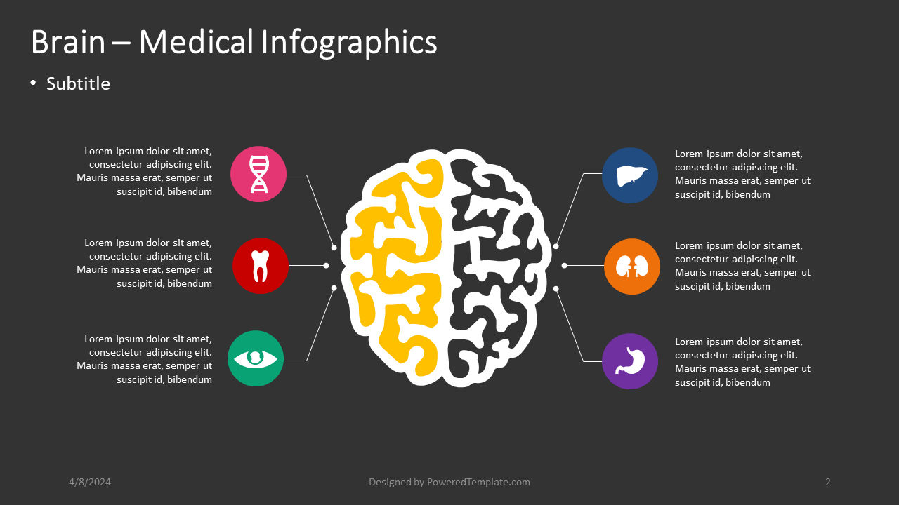 Gehirn - medizinische infografiken, Folie 2, 04357, Infografiken — PoweredTemplate.com