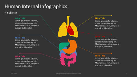 Menselijke interne - medische infographics, Dia 2, 04360, Infographics — PoweredTemplate.com
