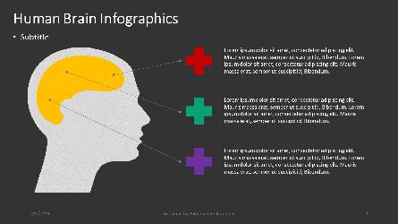 人間の脳のインフォグラフィック, スライド 2, 04361, インフォグラフィック — PoweredTemplate.com