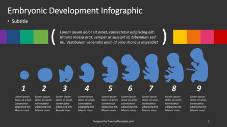 Infografica di sviluppo embrionale, Slide 2, 04370, Infografiche — PoweredTemplate.com