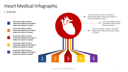 Menschliches herz medizinische infografik, Kostenlos PowerPoint-Vorlage, 04378, Infografiken — PoweredTemplate.com