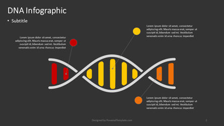 DNA Infographic, Slide 2, 04383, Infographics — PoweredTemplate.com
