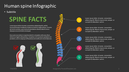 Infografía de la columna vertebral humana, Diapositiva 2, 04389, Infografías — PoweredTemplate.com