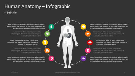 人体解剖学 - インフォグラフィック, スライド 2, 04390, インフォグラフィック — PoweredTemplate.com