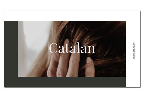 CATALAN - Google Slides, Dia 2, 04660, Presentatie Templates — PoweredTemplate.com