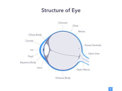 Eye Health Google Slides Template, Diapositiva 5, 04845, Diagramas y gráficos médicos — PoweredTemplate.com