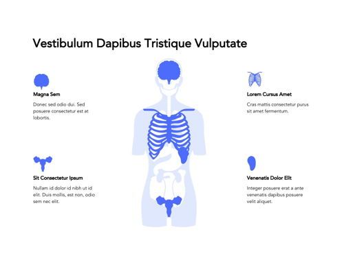 Medical Showcase Google Slides, Diapositiva 16, 04958, Plantillas de presentación — PoweredTemplate.com
