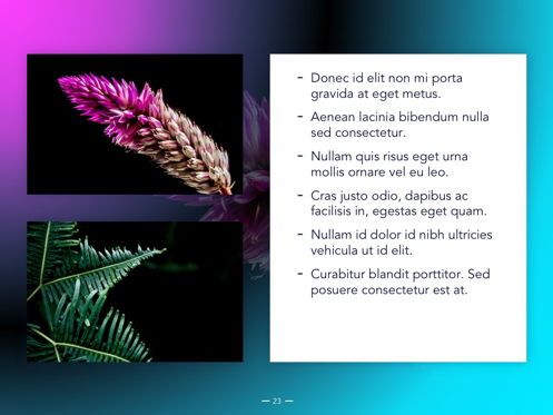 Vivid Google Slides Theme, スライド 24, 04967, プレゼンテーションテンプレート — PoweredTemplate.com