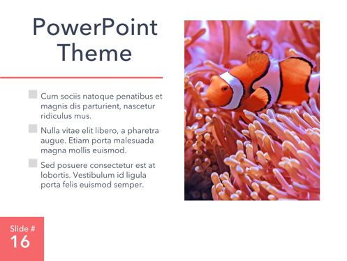 Living Coral PowerPoint Theme, Diapositiva 17, 04969, Plantillas de presentación — PoweredTemplate.com
