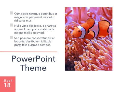 Living Coral PowerPoint Theme, Slide 19, 04969, Templat Presentasi — PoweredTemplate.com