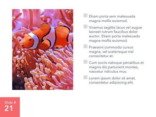 Living Coral PowerPoint Theme, Diapositiva 22, 04969, Plantillas de presentación — PoweredTemplate.com