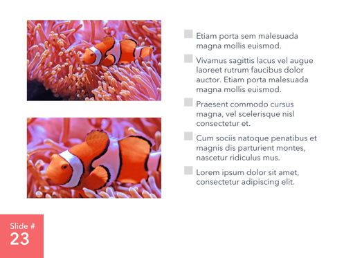 Living Coral PowerPoint Theme, Slide 24, 04969, Presentation Templates — PoweredTemplate.com
