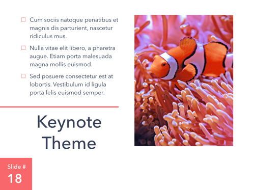 Living Coral Keynote Theme, Slide 19, 04976, Presentation Templates — PoweredTemplate.com