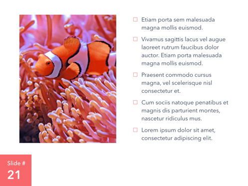Living Coral Keynote Theme, Diapositive 22, 04976, Modèles de présentations — PoweredTemplate.com