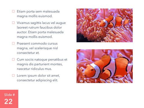 Living Coral Keynote Theme, Diapositive 23, 04976, Modèles de présentations — PoweredTemplate.com