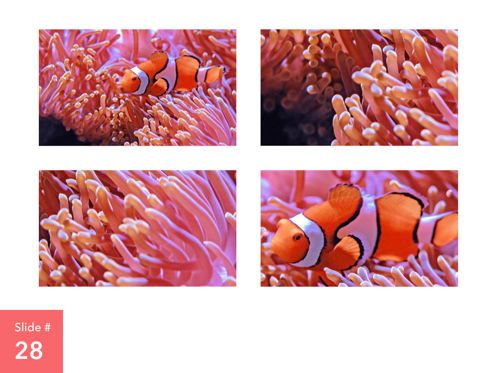 Living Coral Keynote Theme, Slide 29, 04976, Presentation Templates — PoweredTemplate.com
