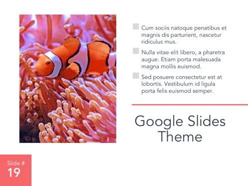 Living Coral Google Slides Theme, Slide 20, 04980, Presentation Templates — PoweredTemplate.com