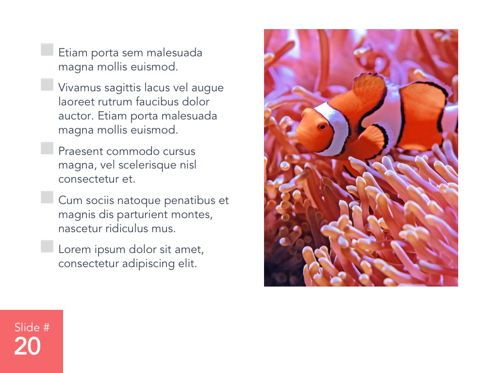 Living Coral Google Slides Theme, Slide 21, 04980, Modelli Presentazione — PoweredTemplate.com