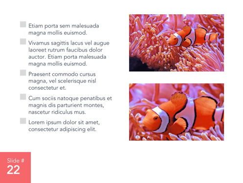 Living Coral Google Slides Theme, Slide 23, 04980, Modelli Presentazione — PoweredTemplate.com