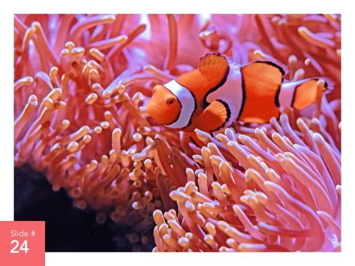 Living Coral Google Slides Theme, 幻灯片 25, 04980, 演示模板 — PoweredTemplate.com