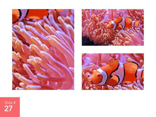 Living Coral Google Slides Theme, Slide 28, 04980, Presentation Templates — PoweredTemplate.com