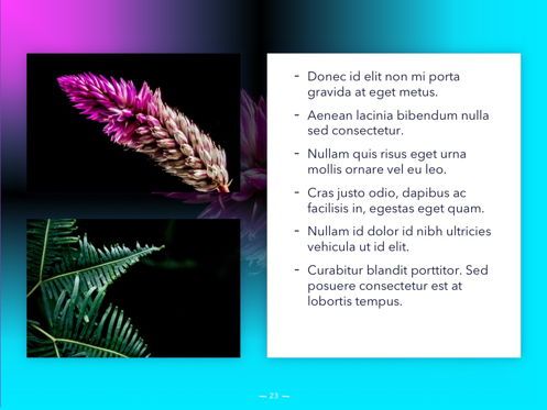 Vivid PowerPoint Theme, Diapositiva 24, 04983, Plantillas de presentación — PoweredTemplate.com