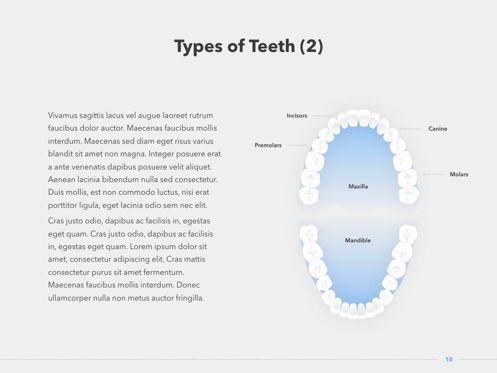 Dentistry Keynote Template, Diapositiva 11, 04993, Diagramas y gráficos médicos — PoweredTemplate.com