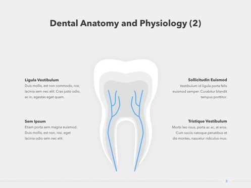Dentistry Keynote Template, Diapositive 6, 04993, Schémas et graphiques médicaux — PoweredTemplate.com