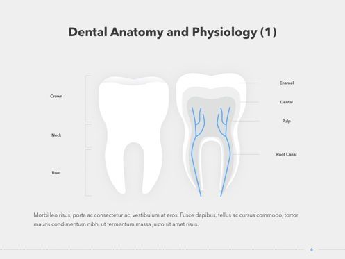 Dentistry Keynote Template, Deslizar 7, 04993, Diagramas e Gráficos Médicos — PoweredTemplate.com