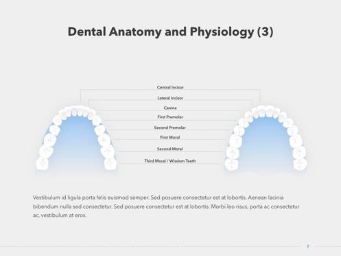 Dentistry Keynote Template, スライド 8, 04993, 医療用図＆グラフ — PoweredTemplate.com