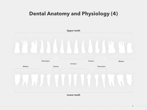Dentistry Keynote Template, Diapositive 9, 04993, Schémas et graphiques médicaux — PoweredTemplate.com