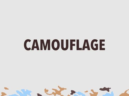 Camouflage PowerPoint Template, Slide 10, 05011, Modelli Presentazione — PoweredTemplate.com