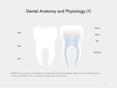 Dentistry Google Slides Template, Dia 7, 05034, Presentatie Templates — PoweredTemplate.com