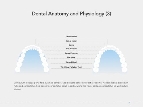Dentistry Google Slides Template, Slide 8, 05034, Presentation Templates — PoweredTemplate.com