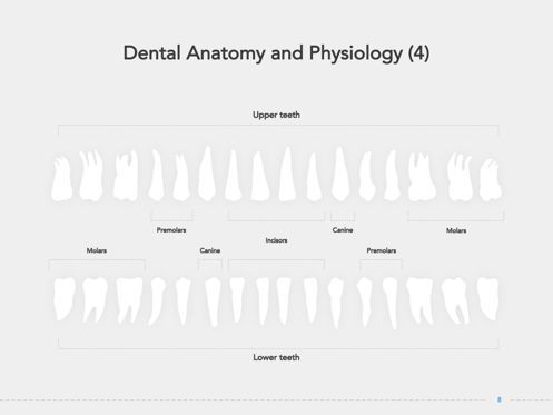 Dentistry Google Slides Template, Slide 9, 05034, Presentation Templates — PoweredTemplate.com
