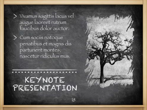 The Chalkdust Keynote Template, Diapositiva 19, 05282, Diagramas y gráficos educativos — PoweredTemplate.com